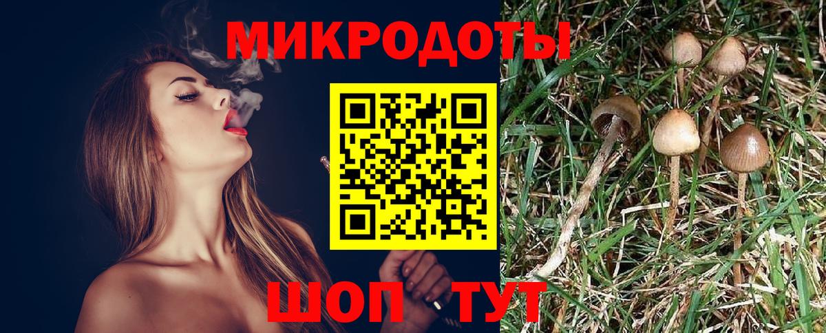 Курганинск  Псилоцибиновые грибы GOLDEN TEACHER  Вход с VPN  Галлюциногенные грибы Magic Shrooms 