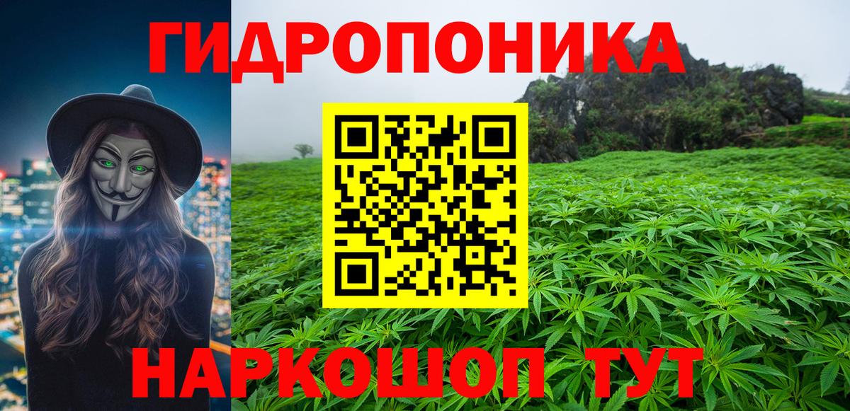 Конопля конопля  Конопля гибрид  Бошки Шишки семена  Вход с VPN  Курганинск 